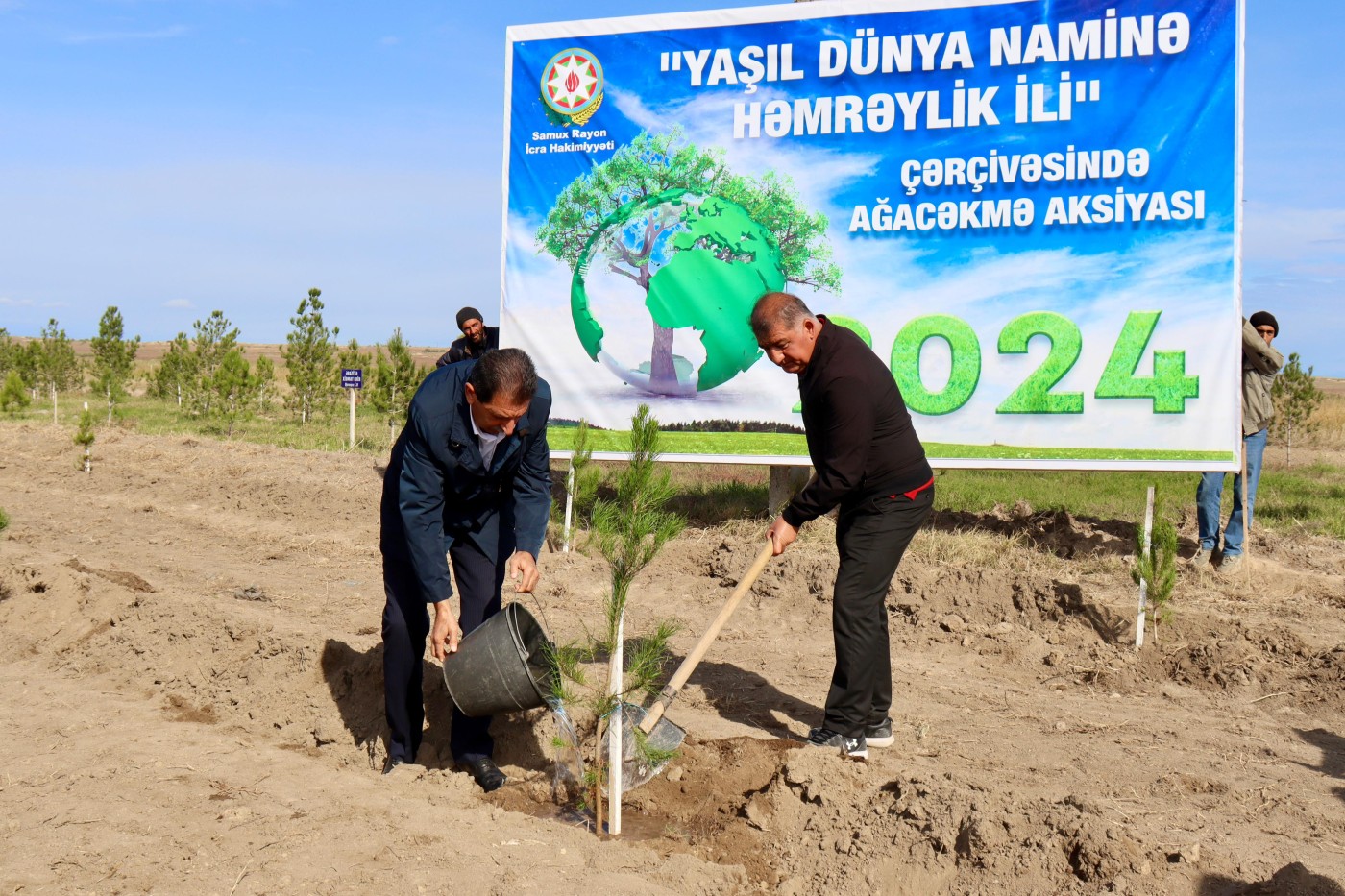 Samux rayonunda ağacəkmə aksiyası davam etdirilir - FOTOLAR